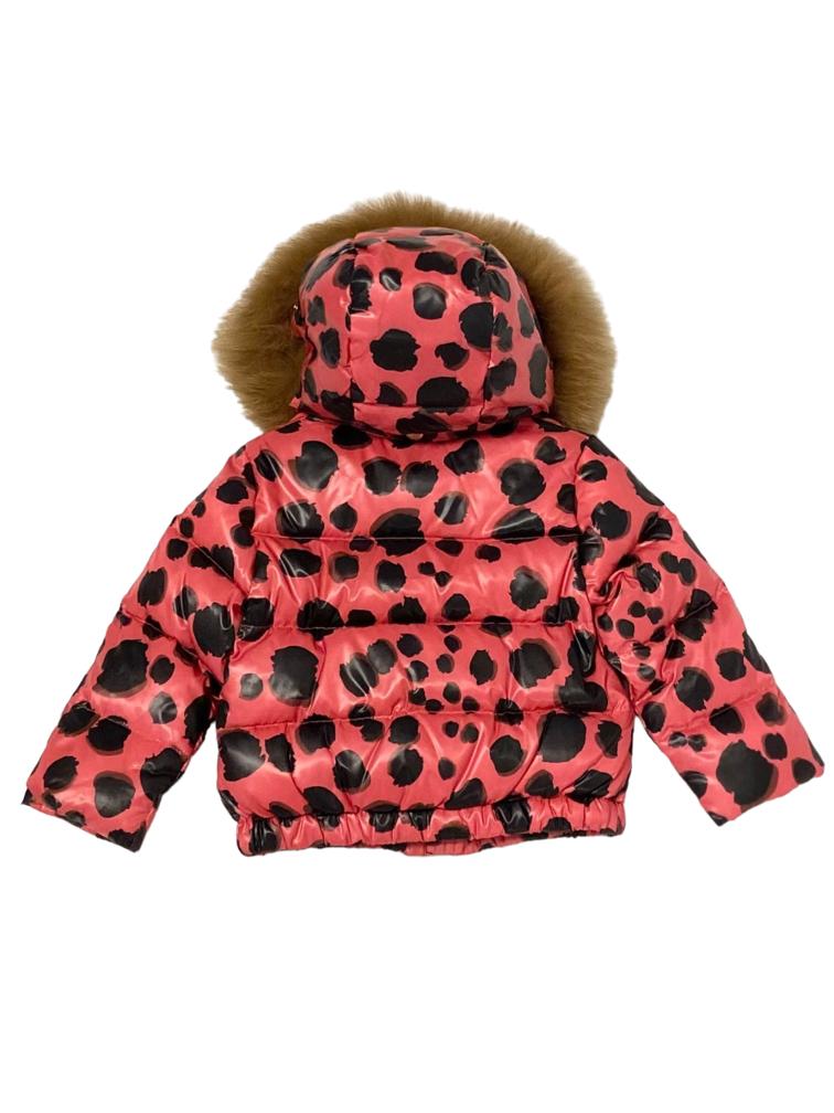 Moschıno Kıd Mont Pembe
